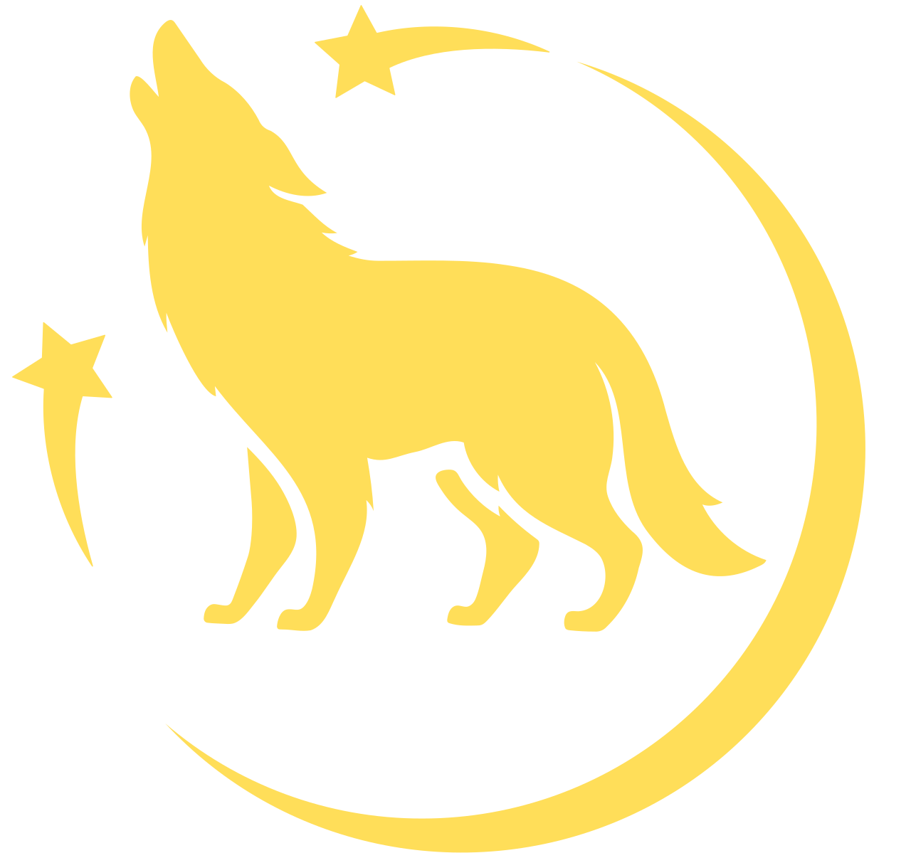 Night Sky Maven logo